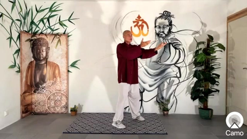Séance 22 : Les 18 mouvements du Tai Ji Qi Gong 2